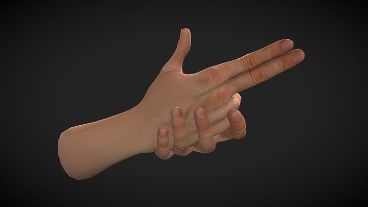 Hands 3D Model
