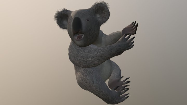 KoalaBear001 3D Model