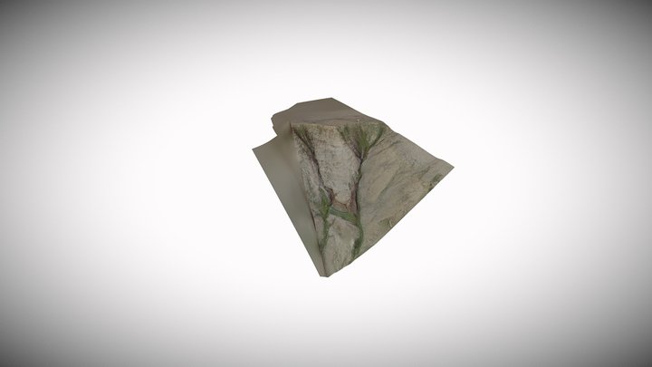 100-101 OBJ 3D Model