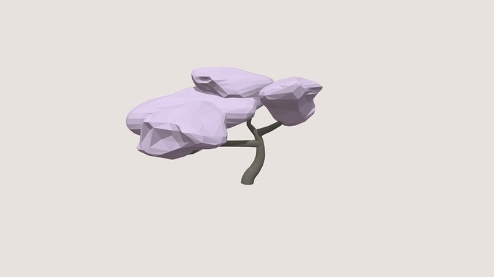 Sakura Tree 3D Model