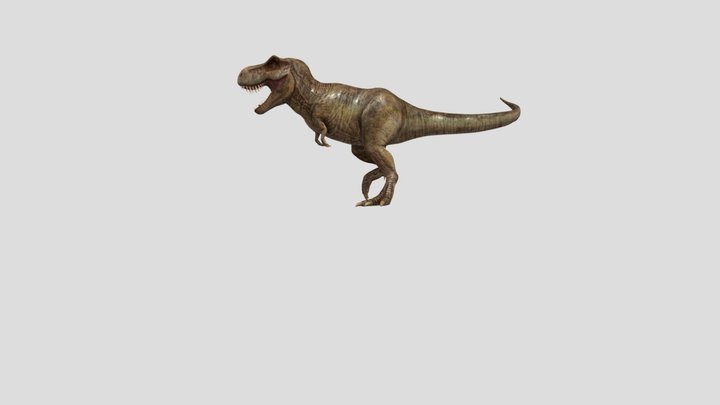 T- REX 3D Model