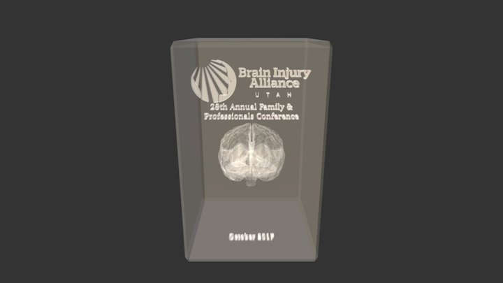 C-558 Brain 3D Model