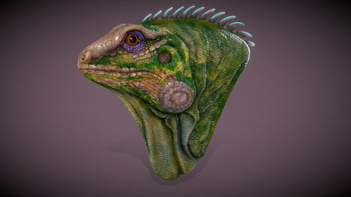 Lizard 3D Model