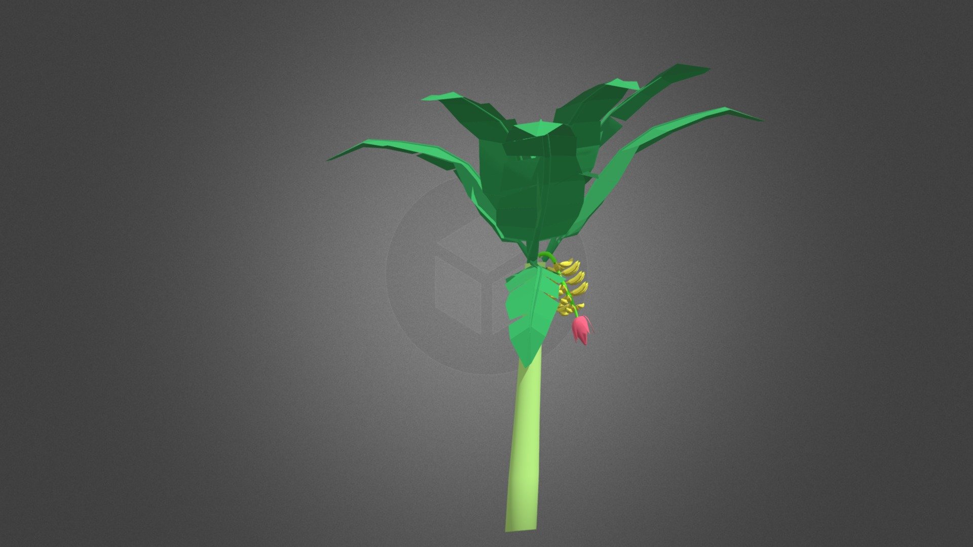 banana Tree fbx model - Download Free 3D model by sinuboy072 [bca3612 ...