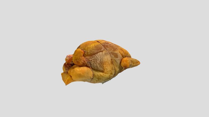Scan 2022-05-09T13:04:01.471Z 3D Model
