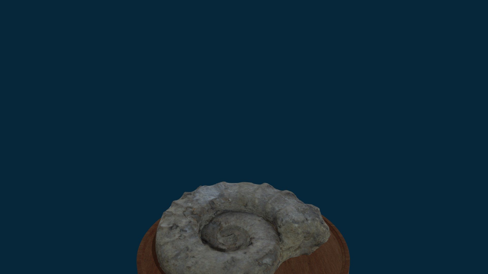 fossil 10