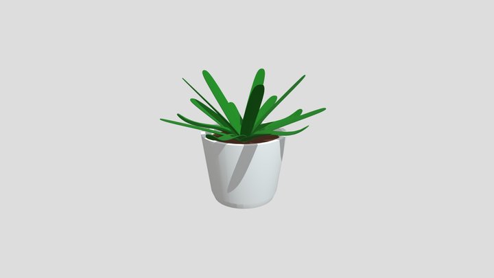 Bush
