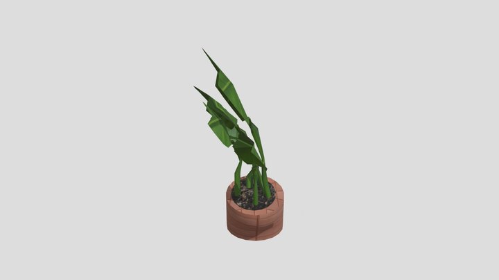 Plant 3D Model