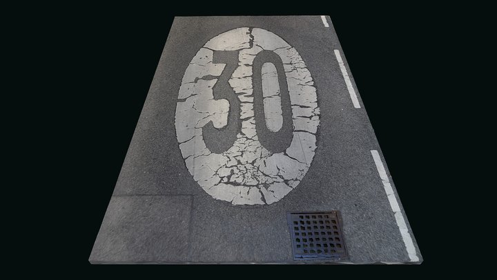 Street markings in Vienna. "30" 3D Model