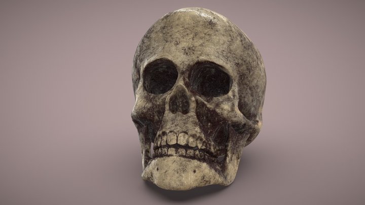 hold blood skull 3D Model