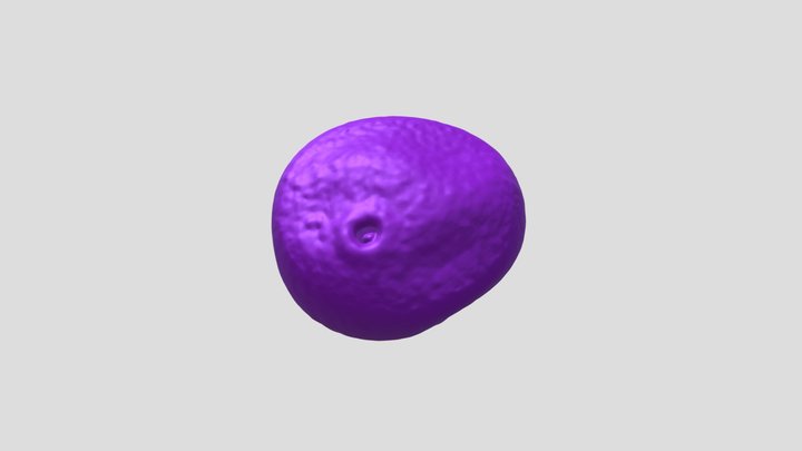 Rye (Secale cereale) pollen grain 3D Model
