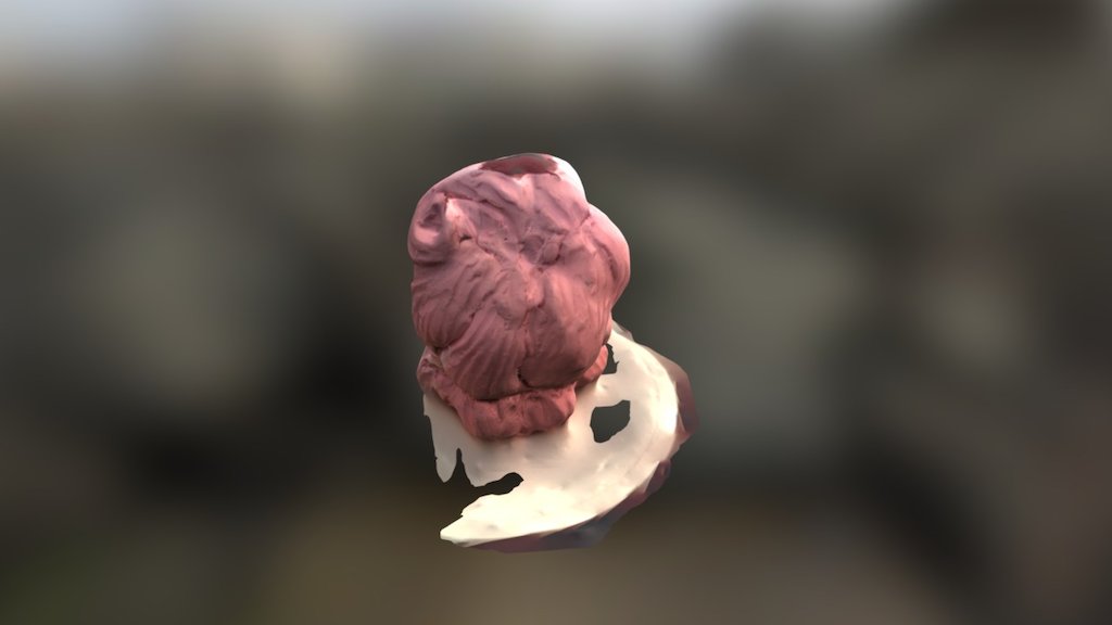 A TRNIO Model