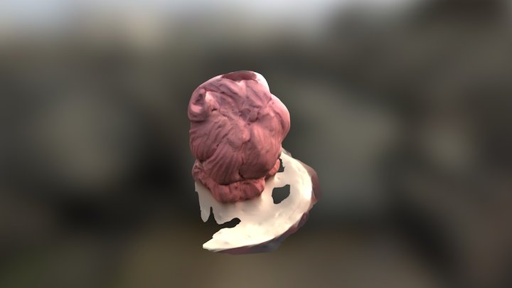A TRNIO Model 3D Model