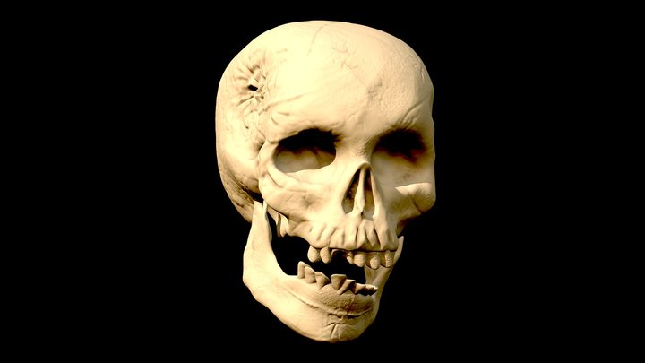 Combat Skull 3D Model