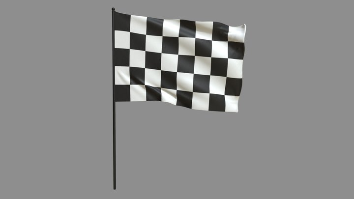 Checkered racing flag 3D Model