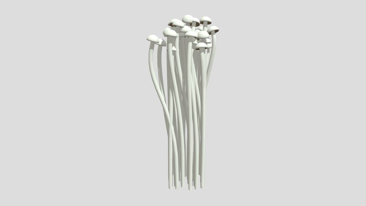 Needle Mushrooms 3D Model