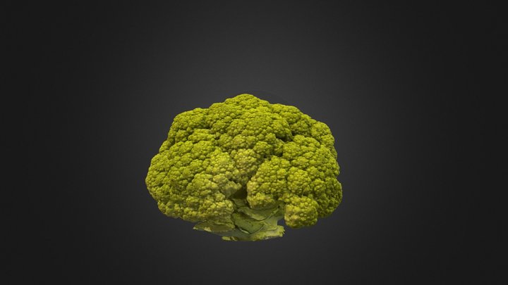 Broccoli_3Dscan, Horn of Plenty Contest 3D Model