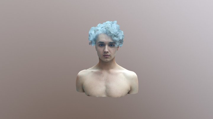 RadBust 3D Model