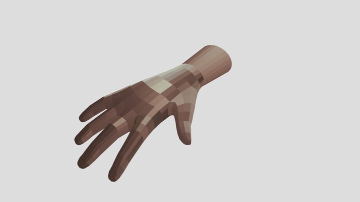 Hand Model (Rigged) 3D Model
