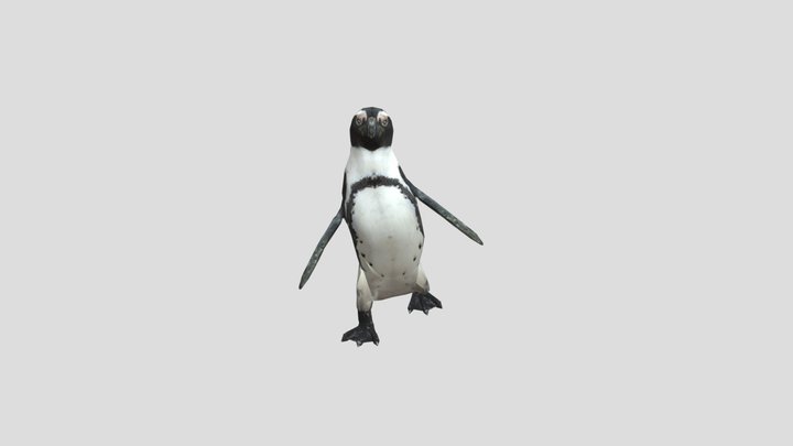 Penguin Walk V1 3D Model