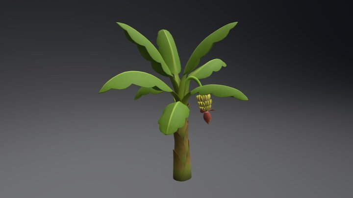 Banana tree 3D Model