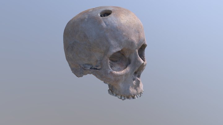 Holey skull - Lyukas koponya 3D Model