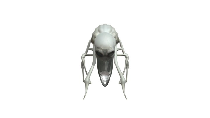 Alien insectoid creature 3D Model