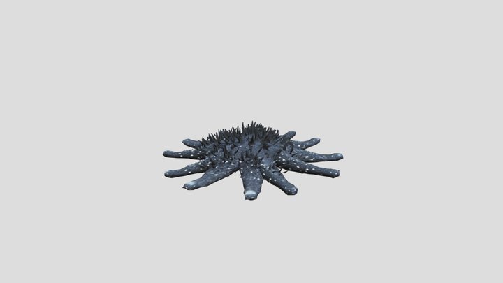 Crown of Thorns Starfish 3D Model