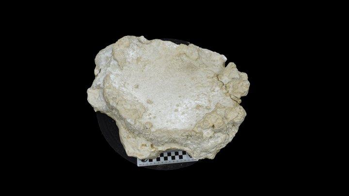 Mammoth Footprint 3D Model