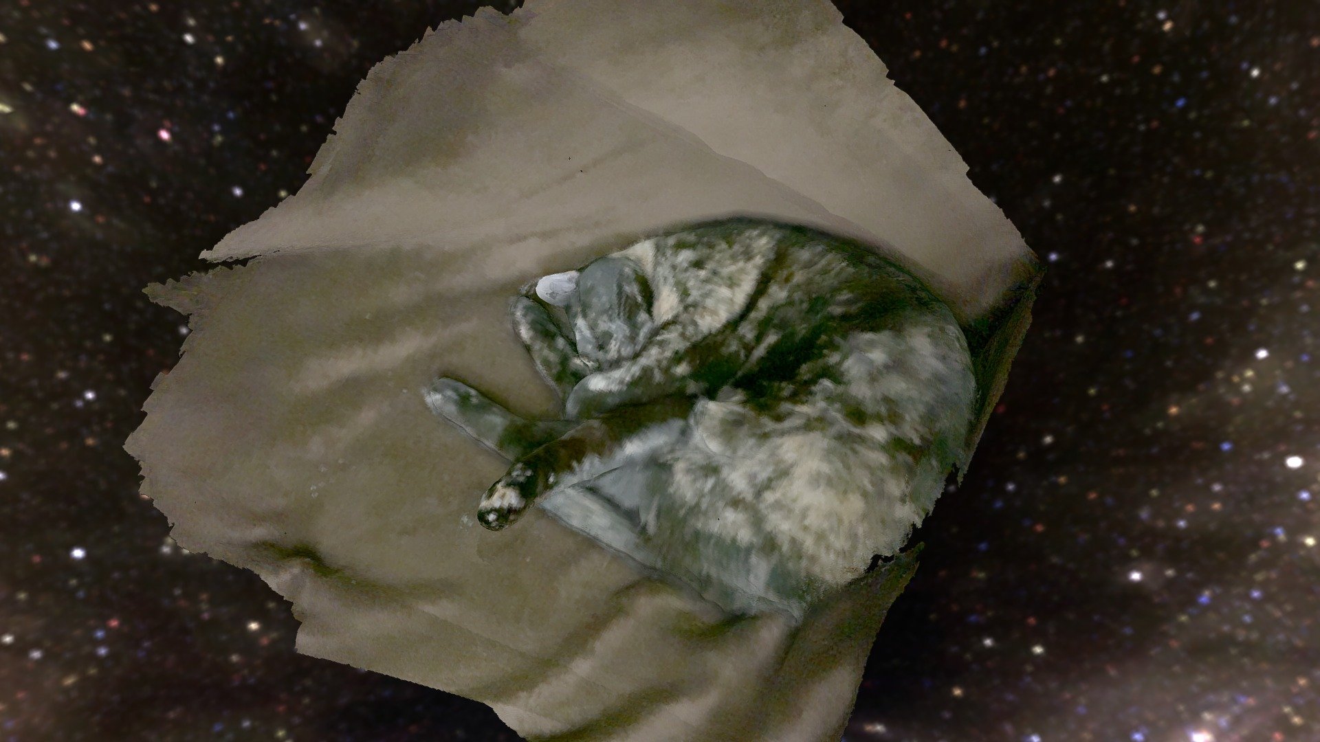 Another sleeping cat