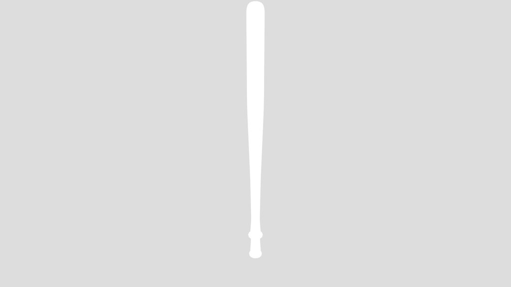 Baseball Bat