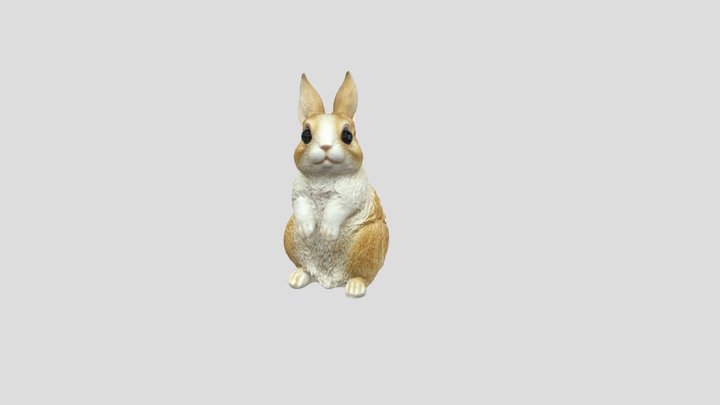 Bunnygrammetry 3D Model