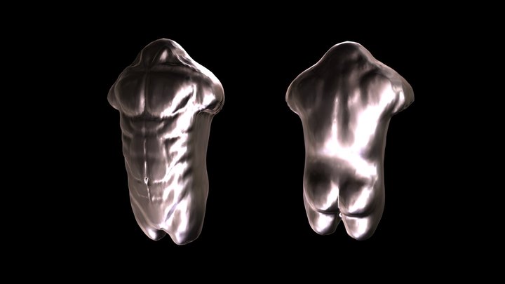 Male Torso (Anatomy) 3D Model