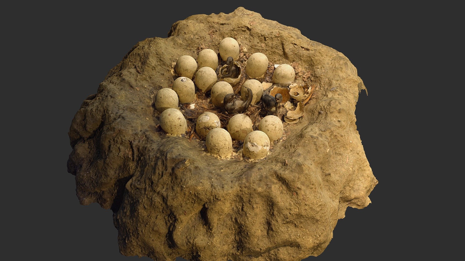 Dinosaur (Maiasaura) Nest Mock-Up - Download Free 3D model by nate