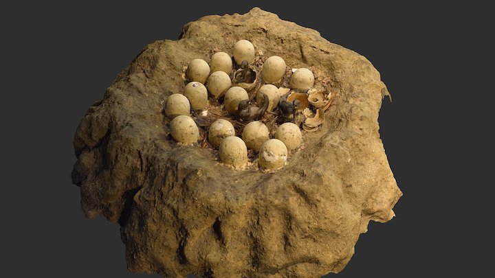 Dinosaur (Maiasaura) Nest Mock-Up – Modello 3D gratuito STL