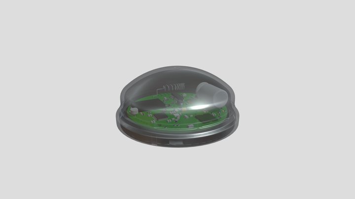 UKB_1 3D Model