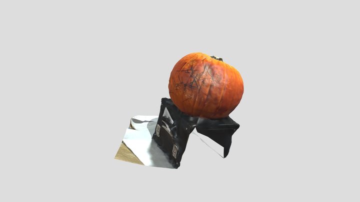 Zoes Pumpkin Raw 3D Model