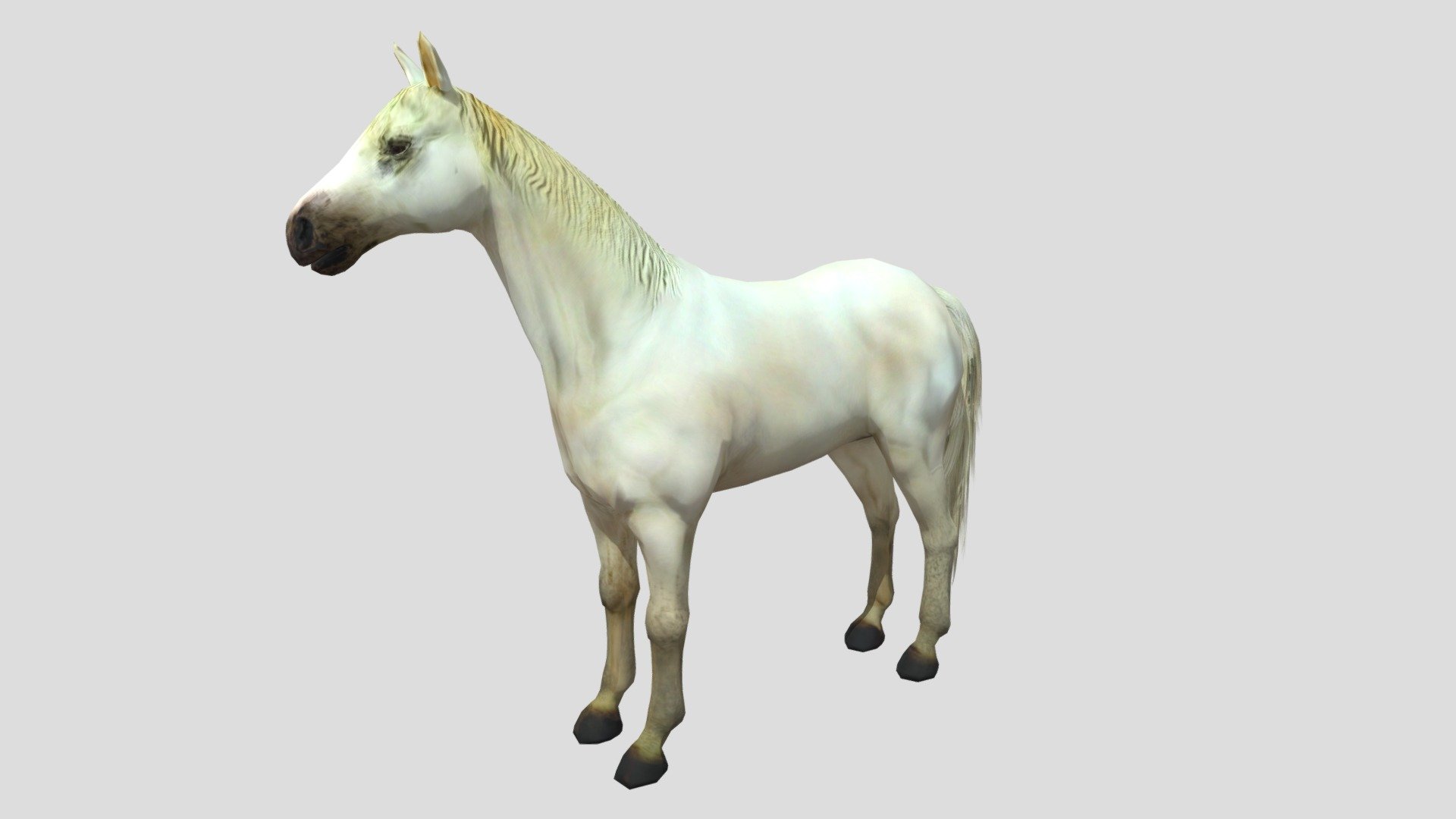 Horse - Download Free 3D Model By Mohammed.Dael.Alshogaa [bcd3e5f ...