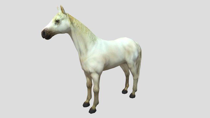 Horse 3D Model