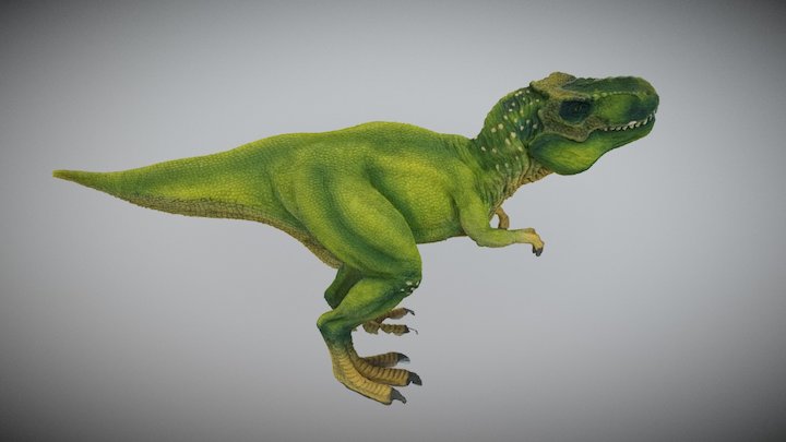 T- Rex 3D Model