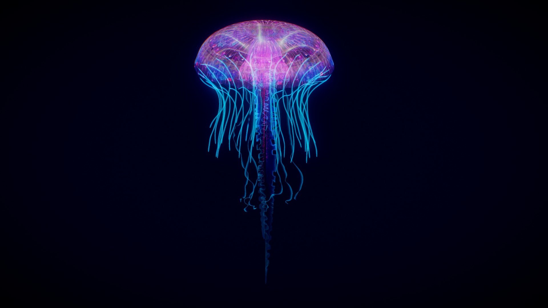 Jellyfish 3d Model Low Poly | lupon.gov.ph