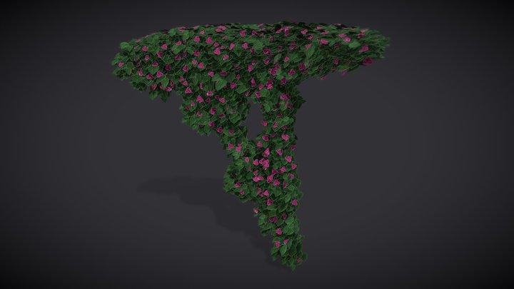 Fuschia Flowers - Bougainvillea 3D Model