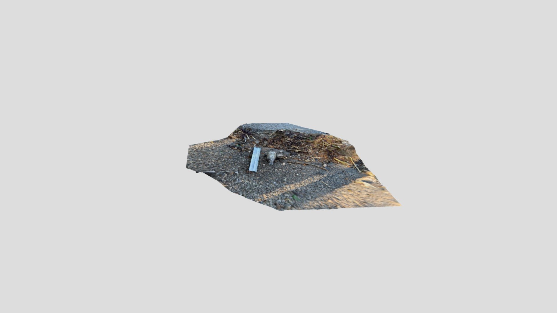 Polycam capture