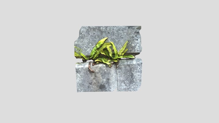 Fern in grey brick 3D Model