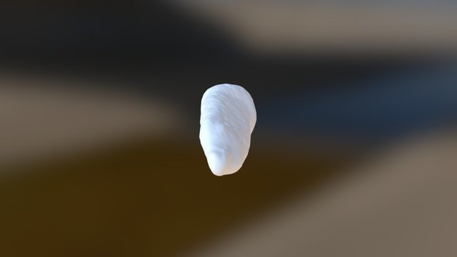Burial 1 - Upper Right C 3D Model