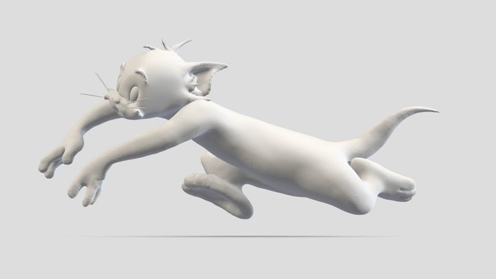Tom Base Mesh - Projeto V 3D Model