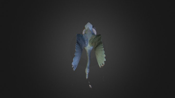 zhdk swan 3D Model