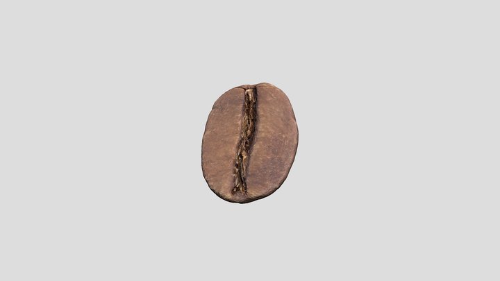 Coffee bean 3D Model