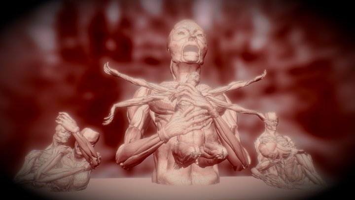TorMeatum 3D Model