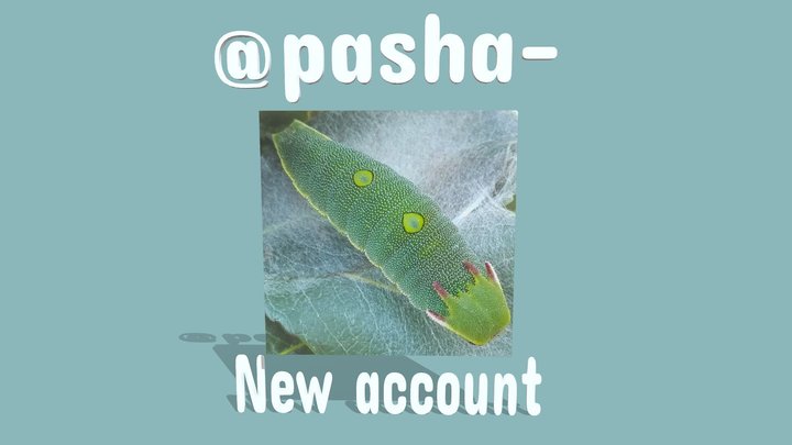 New account! – Modello 3D gratuito STL